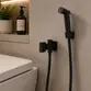 Ducha Higiênica com Derivação Fani Horus Preto Fosco 1745 BK450