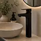 Misturador Monocomando de Mesa Bica Alta Fani Bold Preto Fosco 6877 BK370