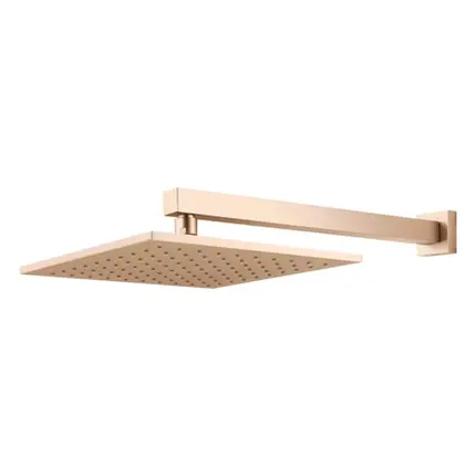 Chuveiro Articulado de Parede Fani Platina Champagne 3000 CH400