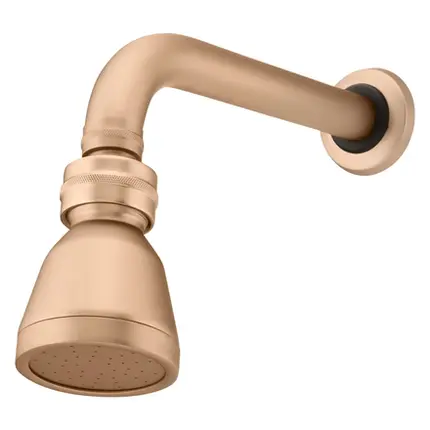Chuveiro Articulado de Parede Fani Ouro Preto Champagne 3000 CH53