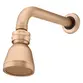 Chuveiro Articulado de Parede Fani Ouro Preto Champagne 3000 CH53