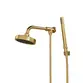 Chuveiro Articulado de Parede Autolimpante com Desviador Fani Mix Dourado Fosco 3310 DV500