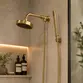 Chuveiro Articulado de Parede Autolimpante com Desviador Fani Mix Dourado Fosco 3310 DV500